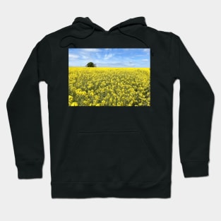 Cotswolds Rapeseed Field Hoodie